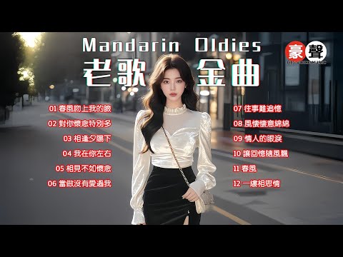 【老歌金曲】春風吻上我的臉｜對你懷念特別多｜相逢夕陽下｜我在你左右｜相見不如懷念｜當做沒有愛過我｜往事難追憶｜風悽悽意綿綿｜情人的眼淚 Mandarin Oldies 70's (歌詞版)