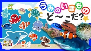 【海の生き物 アニメ】うみのいきものど〜こだ？隠れている海の生き物たちを探そう！サメやウミガメなど水族館の人気ものたちが大集合★【水族館 知育動画】