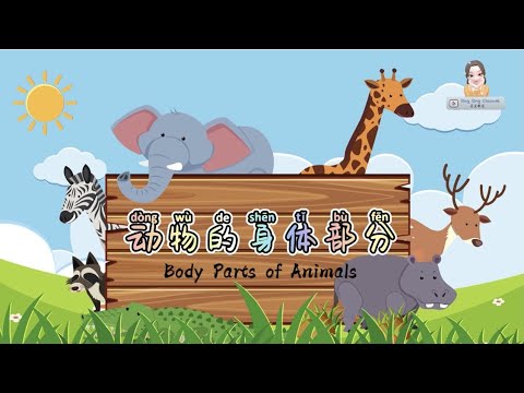 动物的身体部分 Body Parts of Animals｜科学｜学前教育