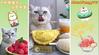 料理貓王ASMR || 給榴蓮來個冰火兩重天，味道太棒了！|| Cat Cooking Food