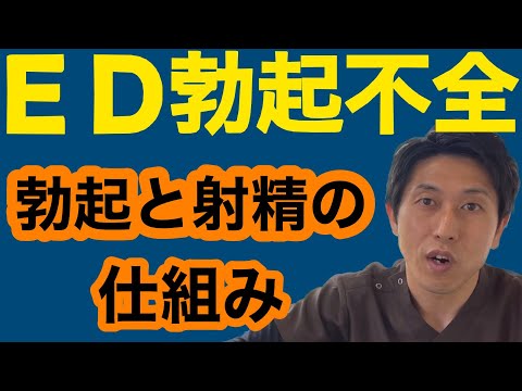 知らないと危険！！勃起と射精の仕組みを知ってるだけで対策ができる！