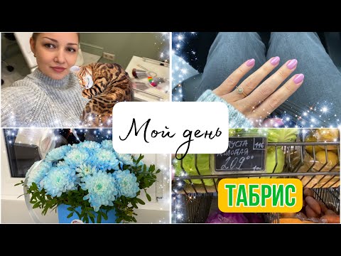 ВЛОГ Выгодно ЗАКУПИЛИСЬ в Табрисе 🛍️ ! Мой новый маникюр 💅 кошка Синди НАЕЛАСЬ РЕЗИНОК 😱 для волос !