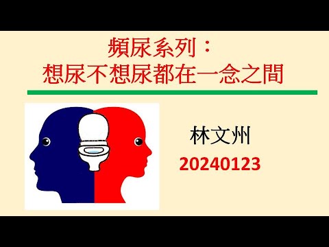 頻尿系列：想尿不想尿都在一念之間－林文州20240123