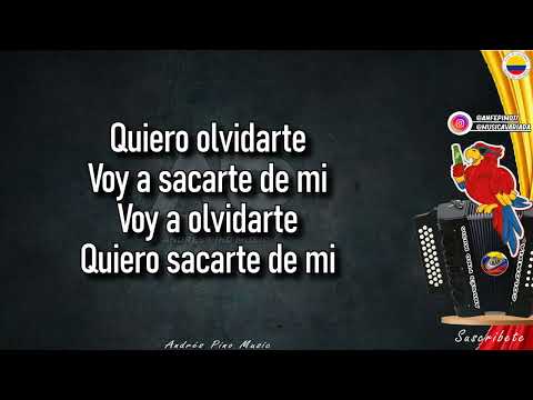 Voy A Olvidarte - Los Chiches Vallenatos | Letra