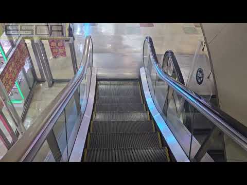 [2 units] Omori Station Building Escalator 3F-1F Mitsubishi