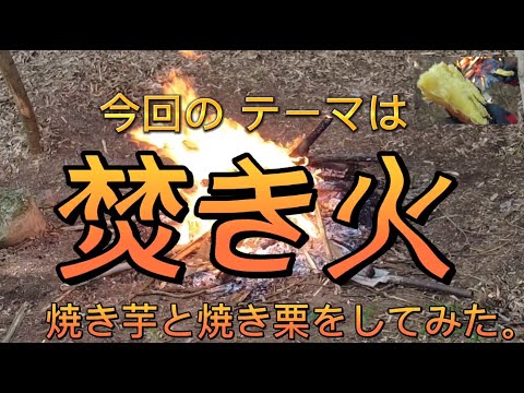 Vol.006_あんずの別荘キレイにするワン〔焚き火で焼き芋🍠と焼き栗🌰をしてみた〕221002