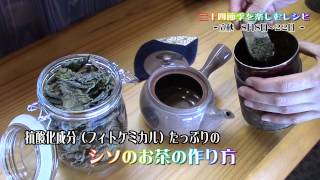 2015 8 10 青しその茶の作り方　二十四節季レシピ