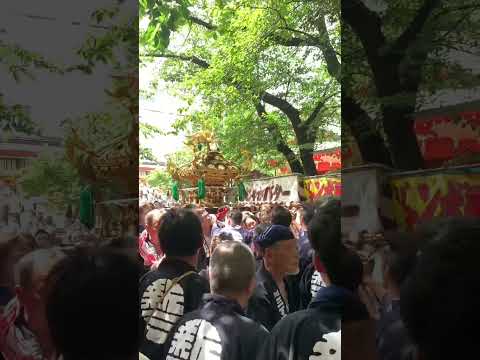 【4K】花園神社 例大祭 -Reitai Festival, Hanazono Shrine-