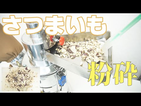 【さつまいもパウダー】さつまいもを粉砕（ハンマーミル）