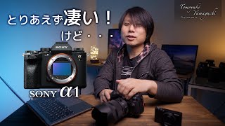 【SONY α1】とりあえず凄い！SONY初のフラッグシップミラーレス一眼、でも・・・