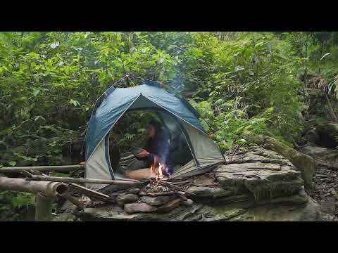 190 DAY SOLO OVERNIGHT CAMPING IN THE RAIN FOREST - RELAXING IN THE TENT WITH THE SATISFYING SOUND