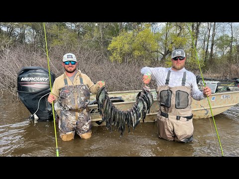 WADE Fishing For SPAWNING CRAPPIE (Catch And Cook)