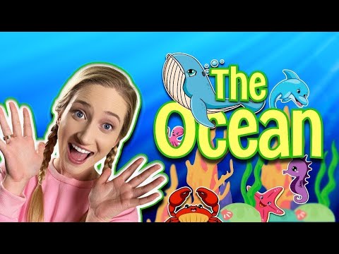 Learning Ocean Animal Life | Sarah Sunshine