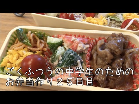 25日目♫ごく普通の中学生のためのお弁当づくり♫タコライス弁当♫