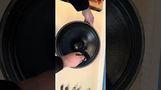 Speaker Maintenance: Applying Waterproofing Treatment to a loudspeaker cone