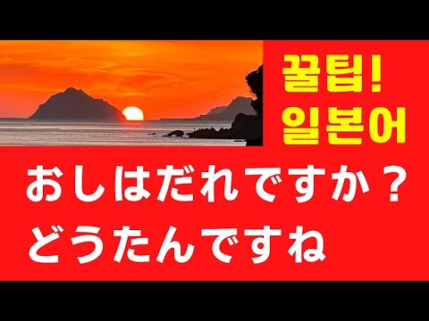 推しは誰ですか？・同担ですね (꿀팁! 일본어 표현)