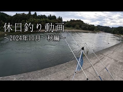 休日釣り動画～2024年10月・秋編～【ブラックバス】【ニゴイ】【スモールマウスバス】