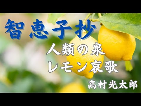 【青空文庫　朗読】119　高村光太郎「智恵子抄」人類の泉、レモン哀歌