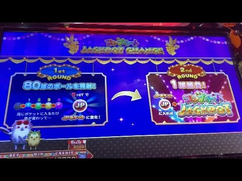 【アニマロッタ7】コンプリートJPC3回目の挑戦！