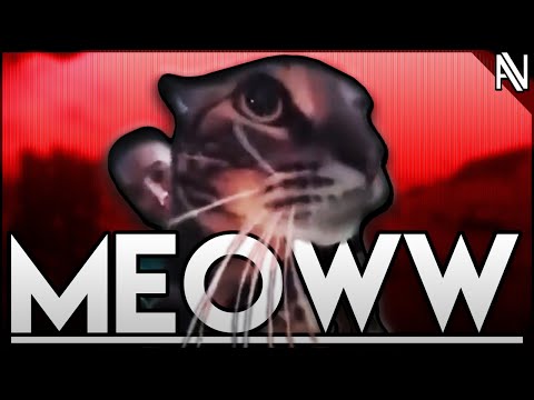 cat meows but-~