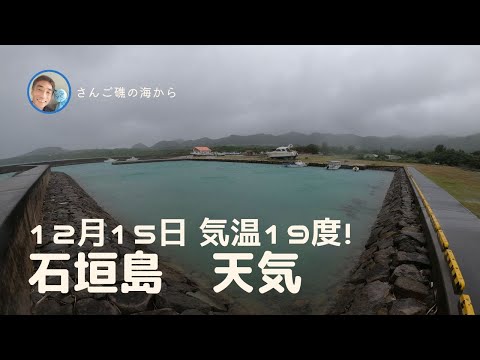 【石垣島天気】12月15日14時ごろ。15秒でわかる今日の石垣島の様子。