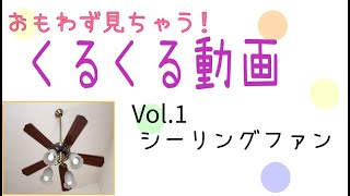 くるくる動画vol.1 シーリングファン