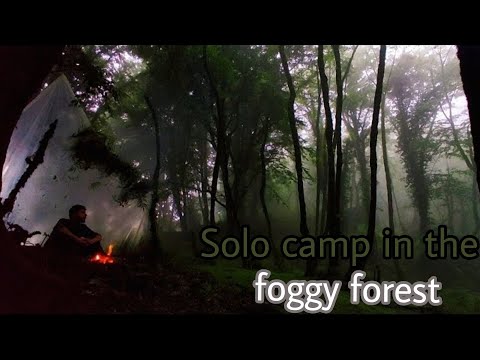 🌧️One night solo camp in the rainforestSurvival in nature🔥#camp #camping #overnight camp #bushcraft