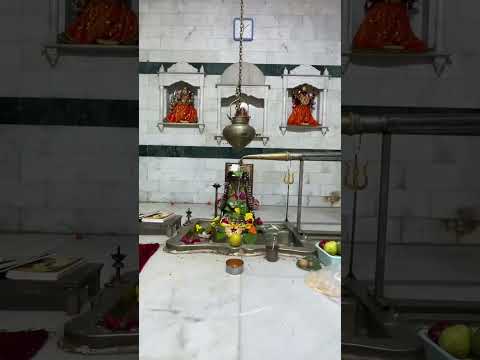 Shravan somvar Mahadev Pooja #mahadev #mahadevstatus #shivpoojan #loardshiva #shiv #shiva #bholenath