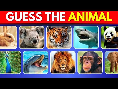 Guess The Animal In 3 Seconds 🐶 100 ANIMALS