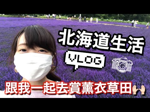 【北海道日常Vlog】第一次去札幌的幌見峠賞薰衣草 紫紫的一片太美了！！日本生活｜ Kayo Channel