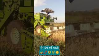 mere desh ki dharti #viral #farming #gehu #meredeshkidharti #kisan