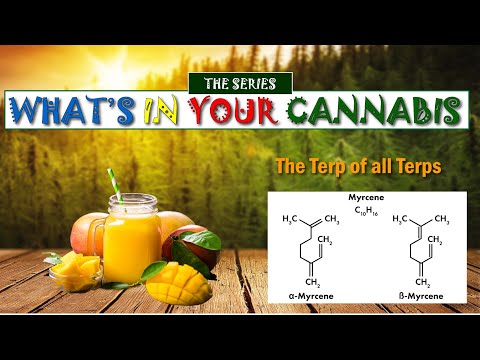 What’s in Your Cannabis? - MYCRENE