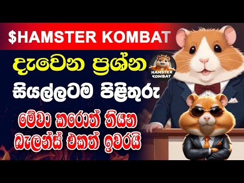 Hamster Kombat Problems? | Hamster Kombat New Update | Hamster Withdrawal Process Sinhala | Airdrop