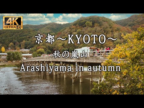 「Walking Through Arashiyama in Autumn: Captivating Colors of Fall」秋の嵐山散策：魅惑的な秋の色彩を歩く