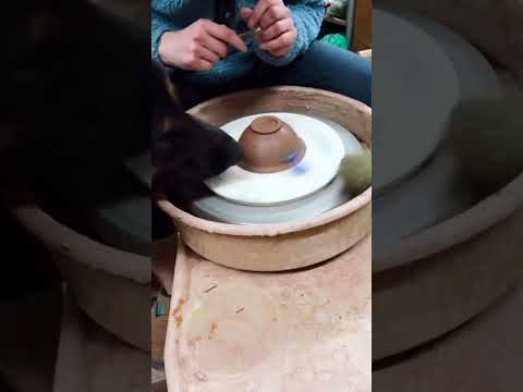 German Shepherd Plays With Tennis Ball on Pottery Wheel