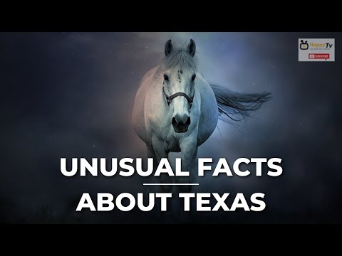 Unusual facts about Texas