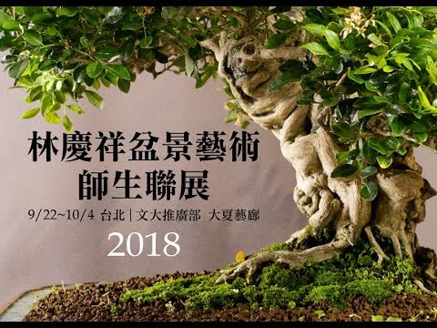 Bonsai Exhibition in TAIPEI 2018