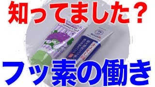 知ってるようで知らない？フッ素の働き　口腔ケアチャンネル　1381（口腔ケアチャンネル2　#1053）