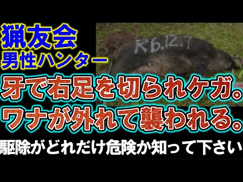 猟友会の男性ハンターがケガ。牙で右足を切られケガ。仕留める最中にワナから外れて襲われる。その後捕獲し駆除。