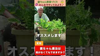 プランターでもOK!?菌ちゃん農法！【おうちで元気な無農薬野菜を育てよう】 #shorts