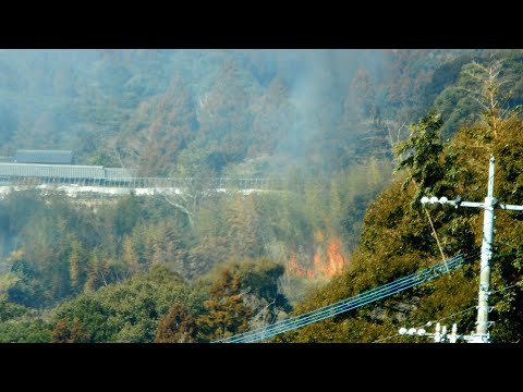 林野火災に遭遇