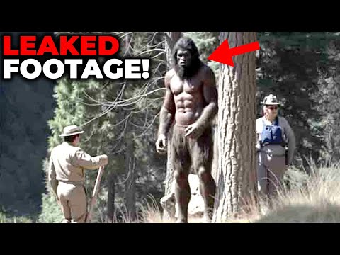 SHOCKING Bigfoot Encounter In The Pacific Northwest Proves He Is Actually Real!