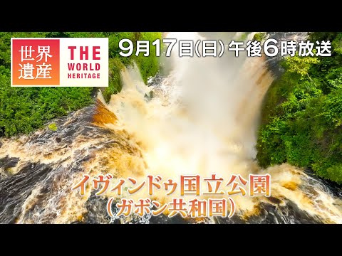 【TBS世界遺産】日本初撮影！ジャングルの大瀑布とゾウ～イヴィンドゥ国立公園（ガボン）【9月17日午後6時放送】