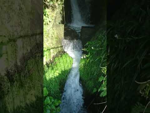 金沢市某所の素掘り水路隧道