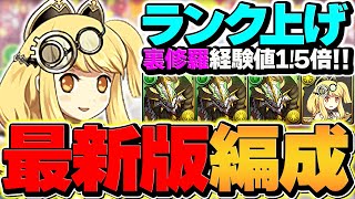 【最新版】正月ノルディスでランク上げ！1周7-8分で2.3億経験値！代用多数！編成難易度低め！裏修羅周回編成【パズドラ】