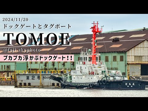 ドックゲートとタグボートTOMOE【1分】2024/11/20