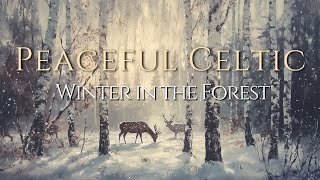 Tranquil Winter in the Celtic Forest – Peaceful Music for Calm and Reflection ❄️