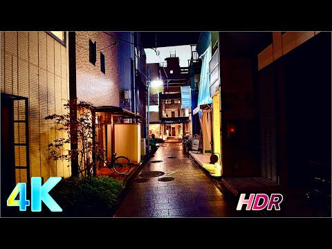 Japan: Futakotamagawa | Tokyo Walk • 4K HDR