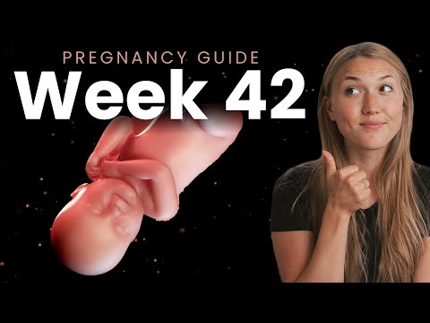 42 Weeks Pregnant | Week By Week Pregnancy