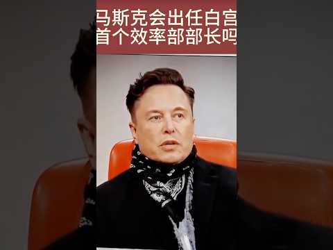 Superman E. Musk #2024